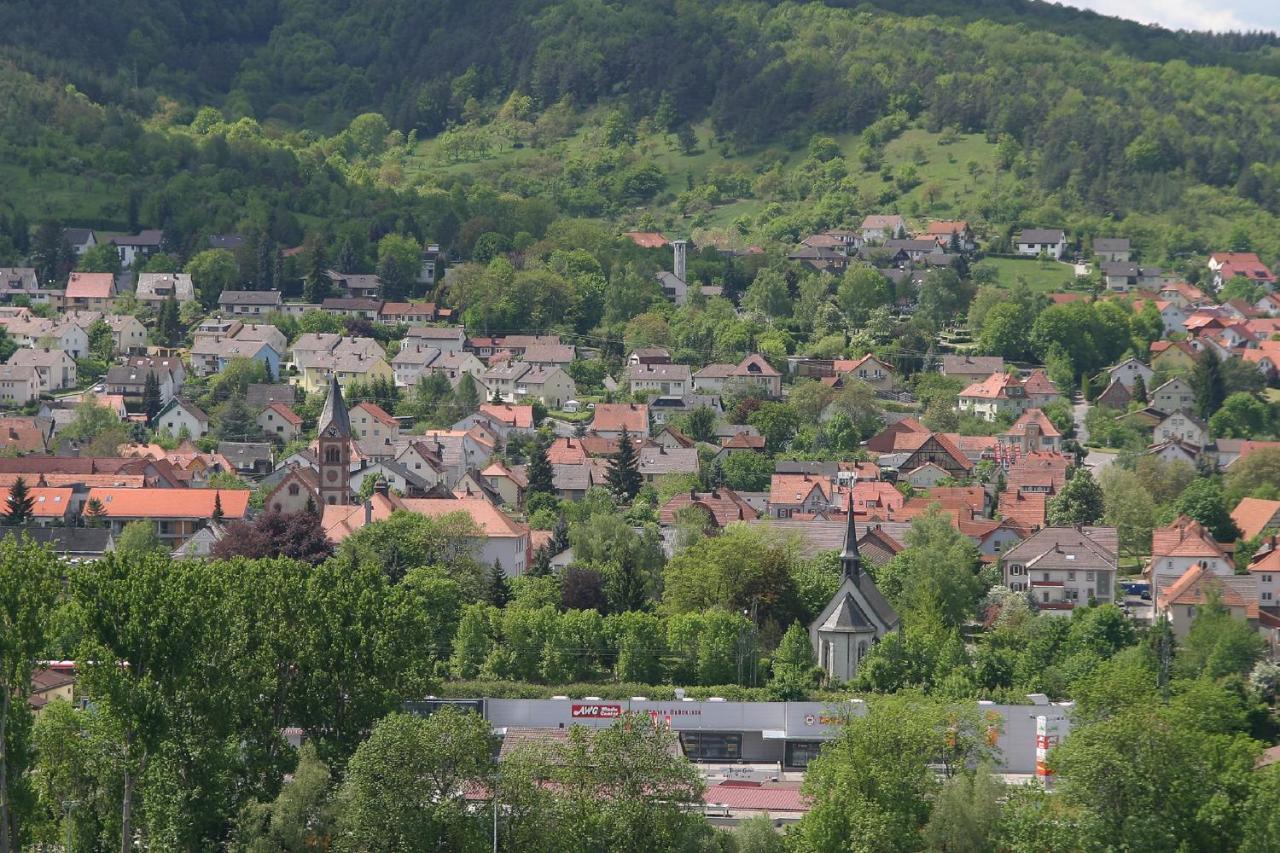 Apartmán Haus Haas Zimmer&Fewo Lauda-Königshofen Exteriér fotografie